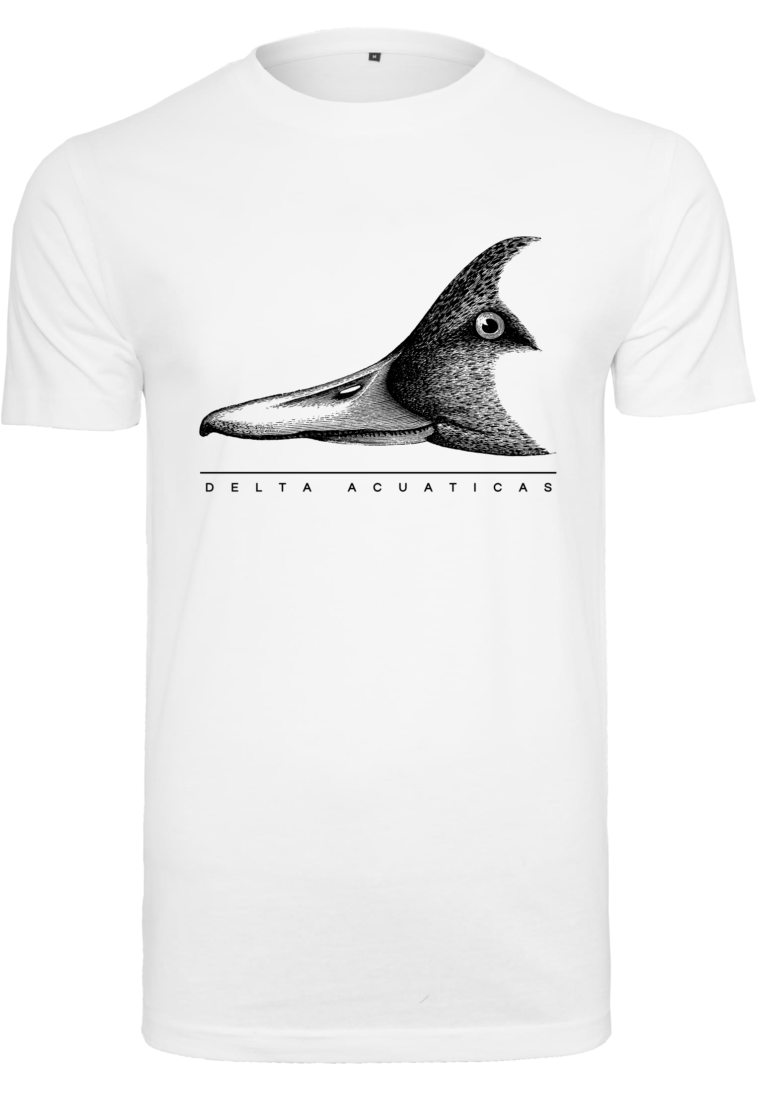 Camiseta manga corta Duck Head Blanco