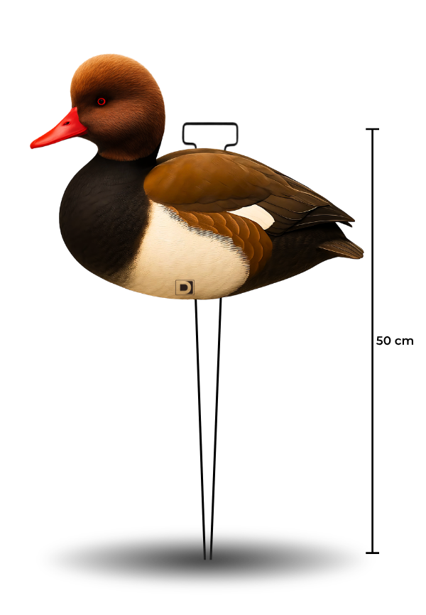 Señuelo Silueta Pato Colorado ACUATIC FLOKS - Lote 12 ud.